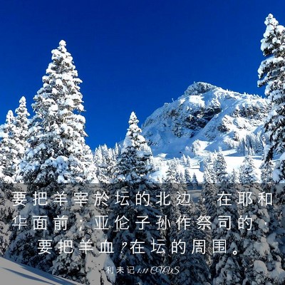 Picture 03 - 利 未 记 1:11 CUVS - 要 把 羊 宰 於 坛 的 北 边 ， 在 耶 - Bible Verse Picture