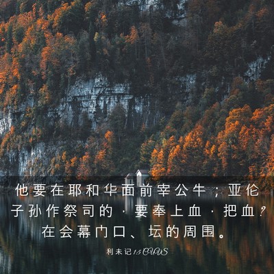 Picture 03 - 利 未 记 1:5 CUVS - 他 要 在 耶 和 华 面 前 宰 公 牛 ； - Bible Verse Picture