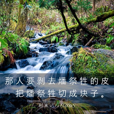 Picture 03 - 利 未 记 1:6 CUVS - 那 人 要 剥 去 燔 祭 牲 的 皮 ， 把 - Bible Verse Picture