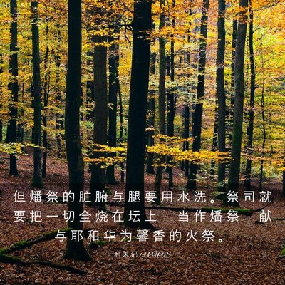 Picture 03 - 利 未 记 1:9 CUVS - 但 燔 祭 的 脏 腑 与 腿 要 用 水 洗 - Bible Verse Picture