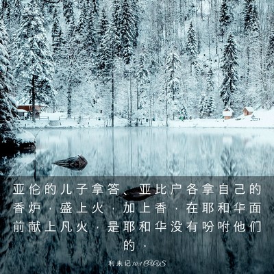 Picture 03 - 利 未 记 10:1 CUVS - 亚 伦 的 儿 子 拿 答 、 亚 比 户 各 - Bible Verse Picture