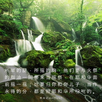 Picture 03 - 利 未 记 10:15 CUVS - 所 举 的 腿 ， 所 摇 的 胸 ， 他 们 - Bible Verse Picture
