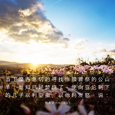 Picture 03 - 利 未 记 10:16 CUVS - 当 下 摩 西 急 切 的 寻 找 作 赎 罪 - Bible Verse Picture