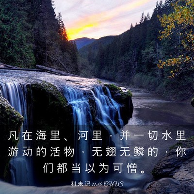 Picture 03 - 利 未 记 11:10 CUVS - 凡 在 海 里 、 河 里 ， 并 一 切 水 - Bible Verse Picture
