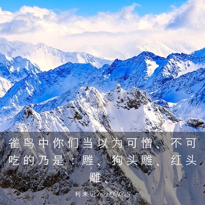 Picture 03 - 利 未 记 11:13 CUVS - 雀 鸟 中 你 们 当 以 为 可 憎 、 不 - Bible Verse Picture