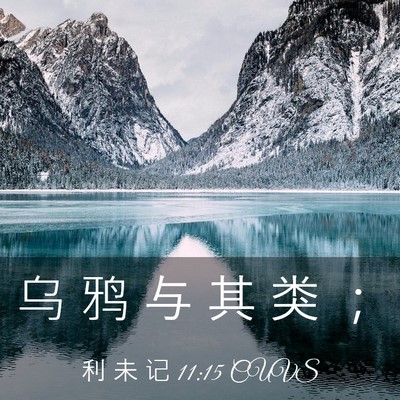 Picture 03 - 利 未 记 11:15 CUVS - 乌 鸦 与 其 类 - Bible Verse Picture