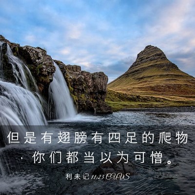 Picture 03 - 利 未 记 11:23 CUVS - 但 是 有 翅 膀 有 四 足 的 爬 物 ， - Bible Verse Picture