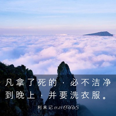 Picture 03 - 利 未 记 11:25 CUVS - 凡 拿 了 死 的 ， 必 不 洁 净 到 晚 - Bible Verse Picture