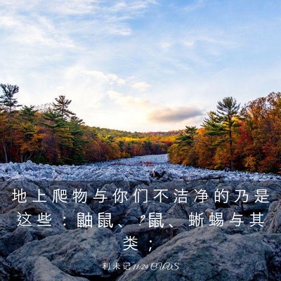 Picture 03 - 利 未 记 11:29 CUVS - 地 上 爬 物 与 你 们 不 洁 净 的 乃 - Bible Verse Picture