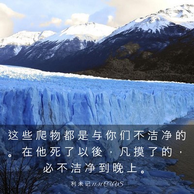 Picture 03 - 利 未 记 11:31 CUVS - 这 些 爬 物 都 是 与 你 们 不 洁 净 - Bible Verse Picture
