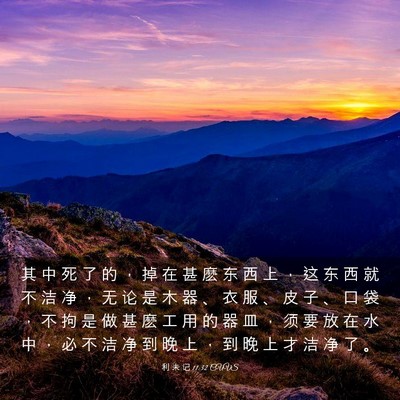 Picture 03 - 利 未 记 11:32 CUVS - 其 中 死 了 的 ， 掉 在 甚 麽 东 西 - Bible Verse Picture