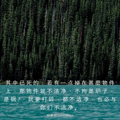 Picture 03 - 利 未 记 11:35 CUVS - 其 中 已 死 的 ， 若 有 一 点 掉 在 - Bible Verse Picture