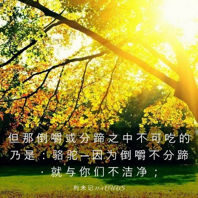 Picture 03 - 利 未 记 11:4 CUVS - 但 那 倒 嚼 或 分 蹄 之 中 不 可 吃 - Bible Verse Picture