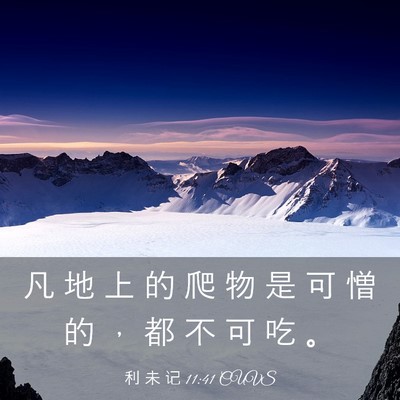 Picture 03 - 利 未 记 11:41 CUVS - 凡 地 上 的 爬 物 是 可 憎 的 ， 都 - Bible Verse Picture