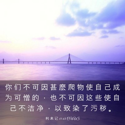 Picture 03 - 利 未 记 11:43 CUVS - 你 们 不 可 因 甚 麽 爬 物 使 自 己 - Bible Verse Picture