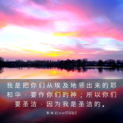 Picture 03 - 利 未 记 11:45 CUVS - 我 是 把 你 们 从 埃 及 地 领 出 来 - Bible Verse Picture