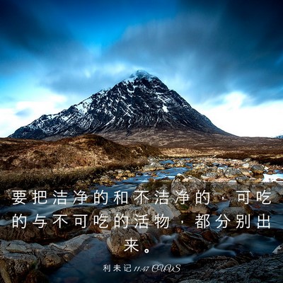 Picture 03 - 利 未 记 11:47 CUVS - 要 把 洁 净 的 和 不 洁 净 的 ， 可 - Bible Verse Picture