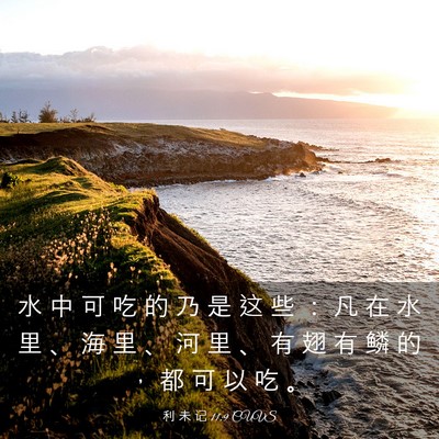 Picture 03 - 利 未 记 11:9 CUVS - 水 中 可 吃 的 乃 是 这 些 ： 凡 在 - Bible Verse Picture