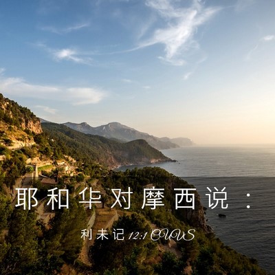 Picture 03 - 利 未 记 12:1 CUVS - 耶 和 华 对 摩 西 说 - Bible Verse Picture