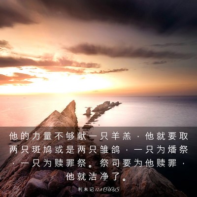 Picture 03 - 利 未 记 12:8 CUVS - 他 的 力 量 不 够 献 一 只 羊 羔 ， - Bible Verse Picture