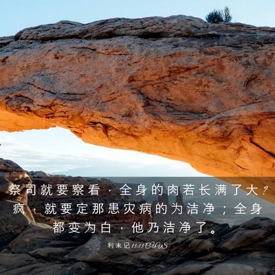 Picture 03 - 利 未 记 13:13 CUVS - 祭 司 就 要 察 看 ， 全 身 的 肉 若 - Bible Verse Picture