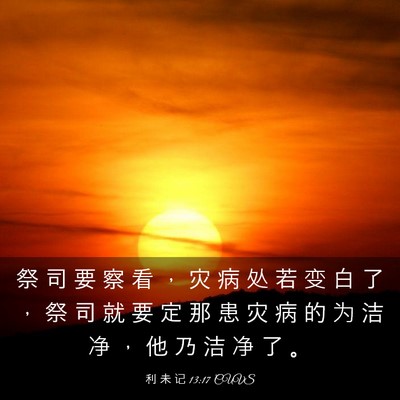 Picture 03 - 利 未 记 13:17 CUVS - 祭 司 要 察 看 ， 灾 病 处 若 变 白 - Bible Verse Picture