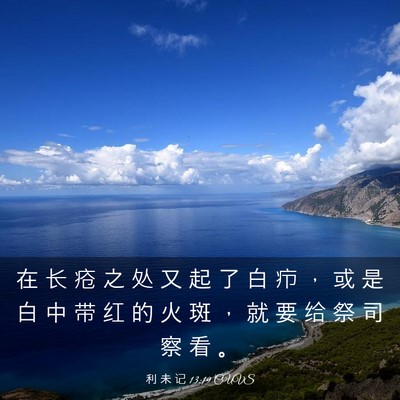 Picture 03 - 利 未 记 13:19 CUVS - 在 长 疮 之 处 又 起 了 白 疖 ， 或 - Bible Verse Picture