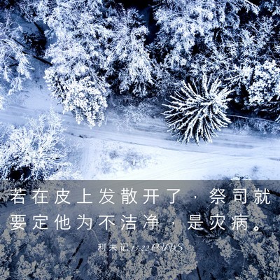 Picture 03 - 利 未 记 13:22 CUVS - 若 在 皮 上 发 散 开 了 ， 祭 司 就 - Bible Verse Picture