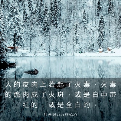 Picture 03 - 利 未 记 13:24 CUVS - 人 的 皮 肉 上 若 起 了 火 毒 ， 火 - Bible Verse Picture
