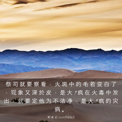 Picture 03 - 利 未 记 13:25 CUVS - 祭 司 就 要 察 看 ， 火 斑 中 的 毛 - Bible Verse Picture