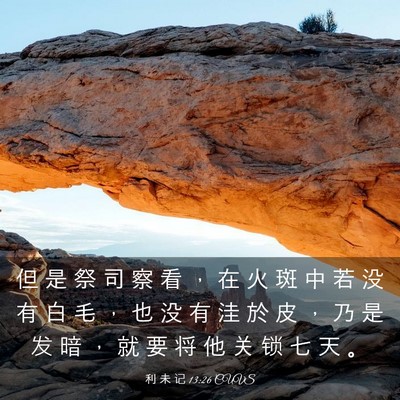 Picture 03 - 利 未 记 13:26 CUVS - 但 是 祭 司 察 看 ， 在 火 斑 中 若 - Bible Verse Picture
