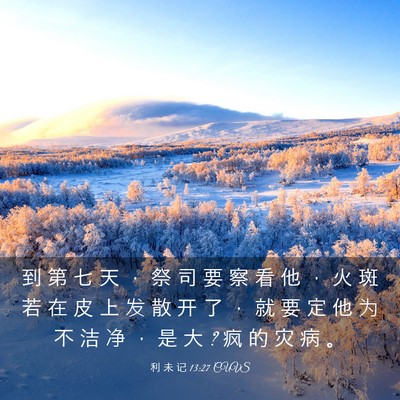 Picture 03 - 利 未 记 13:27 CUVS - 到 第 七 天 ， 祭 司 要 察 看 他 ， - Bible Verse Picture