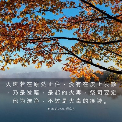 Picture 03 - 利 未 记 13:28 CUVS - 火 斑 若 在 原 处 止 住 ， 没 有 在 - Bible Verse Picture