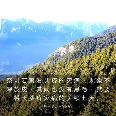 Picture 03 - 利 未 记 13:31 CUVS - 祭 司 若 察 看 头 疥 的 灾 病 ， 现 - Bible Verse Picture