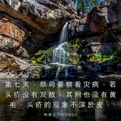 Picture 03 - 利 未 记 13:32 CUVS - 第 七 天 ， 祭 司 要 察 看 灾 病 ， - Bible Verse Picture