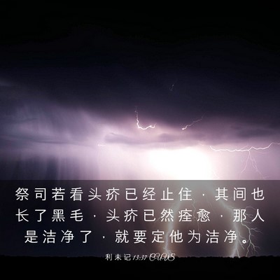 Picture 03 - 利 未 记 13:37 CUVS - 祭 司 若 看 头 疥 已 经 止 住 ， 其 - Bible Verse Picture