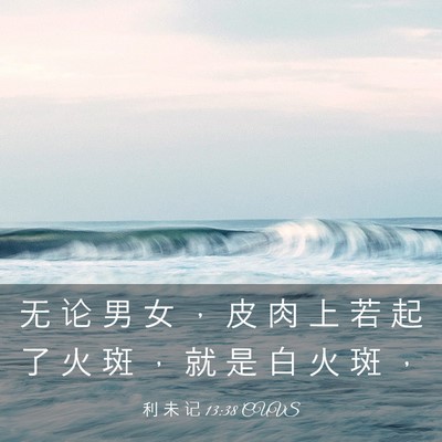 Picture 03 - 利 未 记 13:38 CUVS - 无 论 男 女 ， 皮 肉 上 若 起 了 火 - Bible Verse Picture