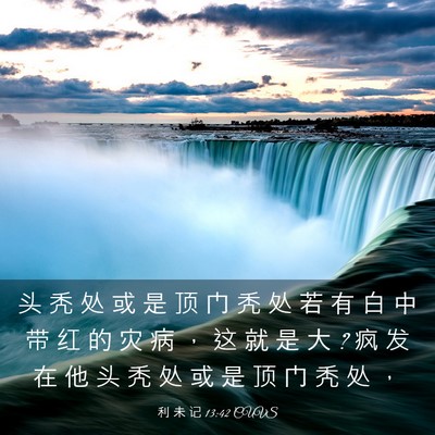 Picture 03 - 利 未 记 13:42 CUVS - 头 秃 处 或 是 顶 门 秃 处 若 有 白 - Bible Verse Picture