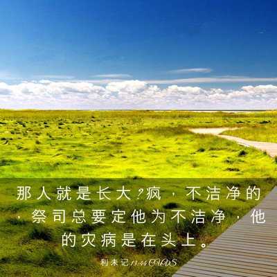 Picture 03 - 利 未 记 13:44 CUVS - 那 人 就 是 长 大 ? 疯 ， 不 洁 净 的 - Bible Verse Picture
