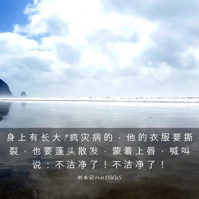 Picture 03 - 利 未 记 13:45 CUVS - 身 上 有 长 大 ? 疯 灾 病 的 ， 他 的 - Bible Verse Picture