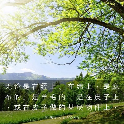 Picture 03 - 利 未 记 13:48 CUVS - 无 论 是 在 经 上 、 在 纬 上 ， 是 - Bible Verse Picture