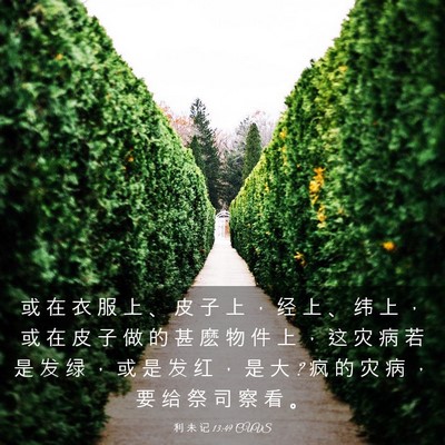 Picture 03 - 利 未 记 13:49 CUVS - 或 在 衣 服 上 、 皮 子 上 ， 经 上 - Bible Verse Picture