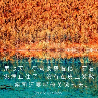 Picture 03 - 利 未 记 13:5 CUVS - 第 七 天 ， 祭 司 要 察 看 他 ， 若 - Bible Verse Picture