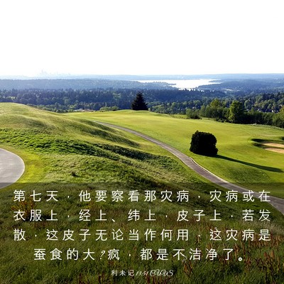 Picture 03 - 利 未 记 13:51 CUVS - 第 七 天 ， 他 要 察 看 那 灾 病 ， - Bible Verse Picture