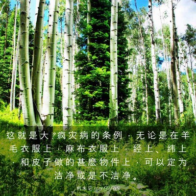 Picture 03 - 利 未 记 13:59 CUVS - 这 就 是 大 ? 疯 灾 病 的 条 例 ， 无 - Bible Verse Picture