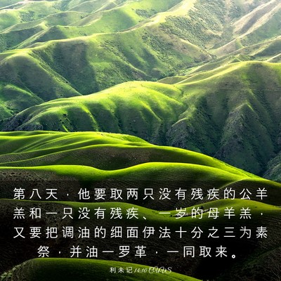 Picture 03 - 利 未 记 14:10 CUVS - 第 八 天 ， 他 要 取 两 只 没 有 残 - Bible Verse Picture