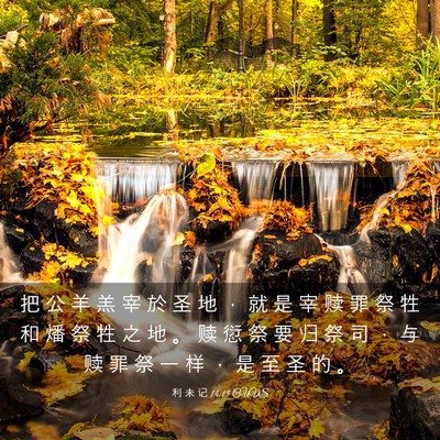 Picture 03 - 利 未 记 14:13 CUVS - 把 公 羊 羔 宰 於 圣 地 ， 就 是 宰 - Bible Verse Picture