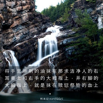 Picture 03 - 利 未 记 14:17 CUVS - 将 手 里 所 剩 的 油 抹 在 那 求 洁 - Bible Verse Picture