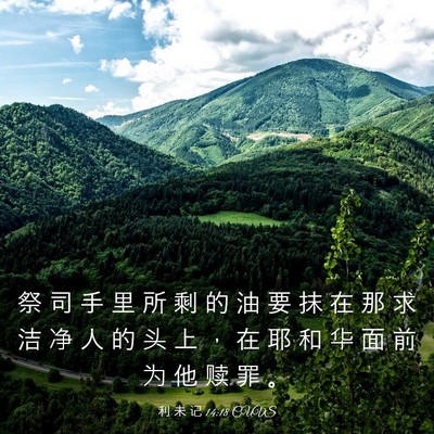 Picture 03 - 利 未 记 14:18 CUVS - 祭 司 手 里 所 剩 的 油 要 抹 在 那 - Bible Verse Picture