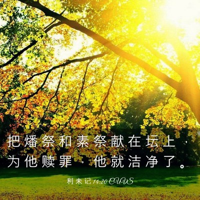 Picture 03 - 利 未 记 14:20 CUVS - 把 燔 祭 和 素 祭 献 在 坛 上 ， 为 - Bible Verse Picture